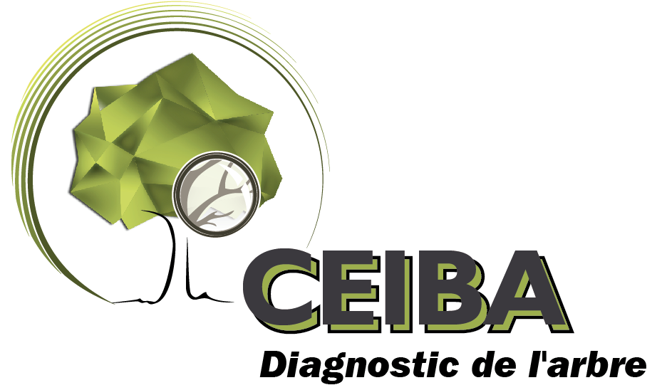 Logo de Ceiba Philippe Trouillet, formations en haubanage